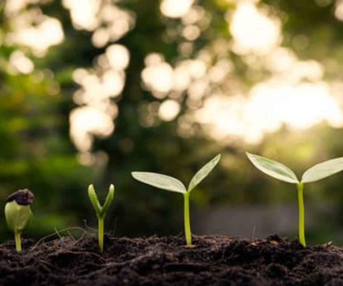 Nos engagements RSE Démarche RSE